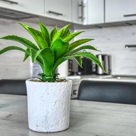 Modern Apt Near Palais Des Festivals By Guestready * Cannes