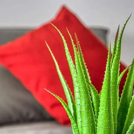 Modern Apt Near Palais Des Festivals By Guestready * كان